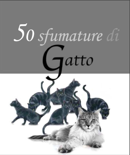 50 sfuature di gatto 1fbbd615-efd0-48ca-9d21-02504e1e8a04